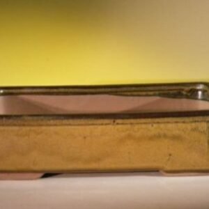 Olive Green Ceramic Bonsai Pot - Rectangle11.5" x 8.5" x 3.0"