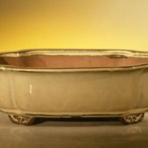 Beige Ceramic Bonsai Pot - Rectangle 10" x 8" x 3.125"
