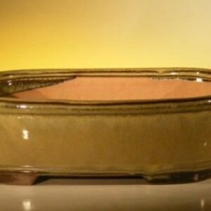 Olive Green Ceramic Bonsai Pot - Rectangle10" x 8" x 3.125"