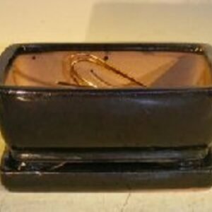 Black Ceramic Bonsai Pot - Rectangle Professional Series with Attached
