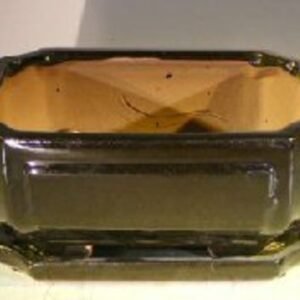 Black Ceramic Bonsai Pot- Rectangle Professional Series With Attached