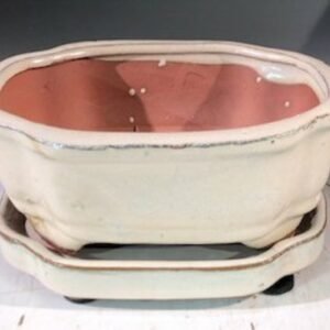 Beige Ceramic Bonsai Pot -RectangleWith Humidity Drip Tray6" x 5" x
