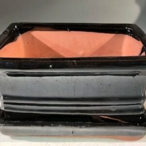 Black Ceramic Bonsai Pot -RectangleWith Humidity Drip Tray6" x 4.5" x