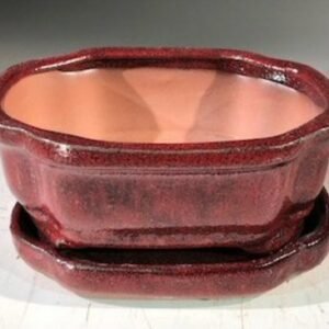 Parisian Red  Ceramic Bonsai Pot -RectangleWith Humidity Drip Tray6" x