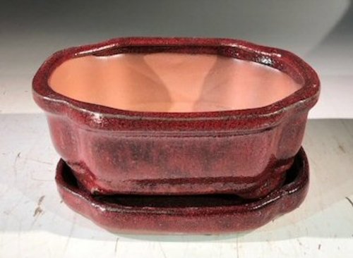 Parisian Red Ceramic Bonsai Pot -RectangleWith Humidity Drip Tray6" x