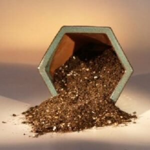 Tropical Mix Bonsai Soil (indoor trees) - 2 lbs. (1 Qt.)
