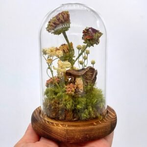 Dried Flower Zinnia Cloche Terrarium