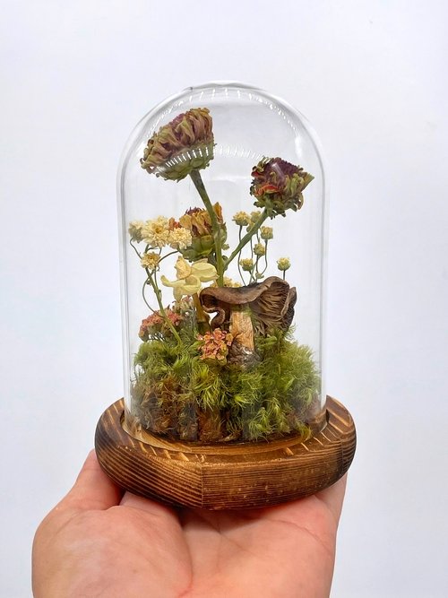 Dried Flower Zinnia Cloche Terrarium