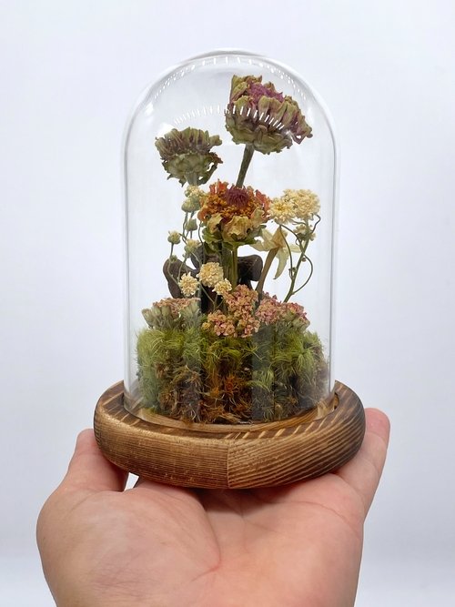Dried Flower Zinnia Cloche Terrarium - Image 2