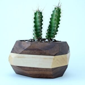Geometric Cactus & Succulent Planter