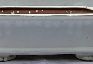 White Ceramic Bonsai Pot - Rectangle12.5" x 10.0" x 4.0"