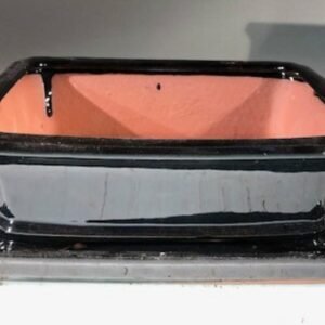 Black Ceramic Bonsai Pot - RectangleWith Humidity Drip Tray8" x 6" x