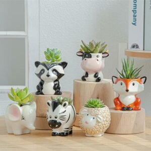 6Pce Set Cartoon Animals Flower Pot for Succulents Fleshy Plants